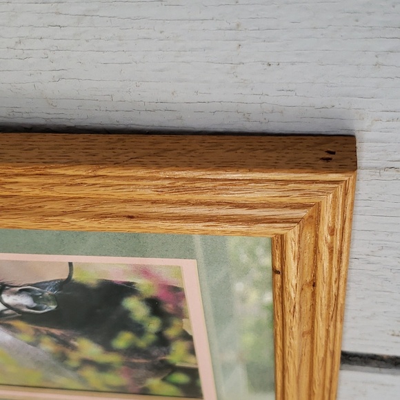 Framed Horse Print Caballo Pony Cowgirl - Picture 5 of 11